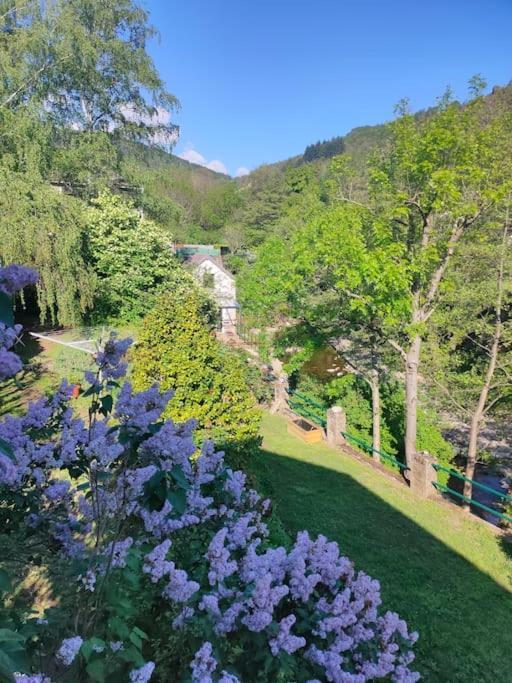 Le Secret Du Moulin, Agreable Tiny House Villefort Villefort  Luaran gambar